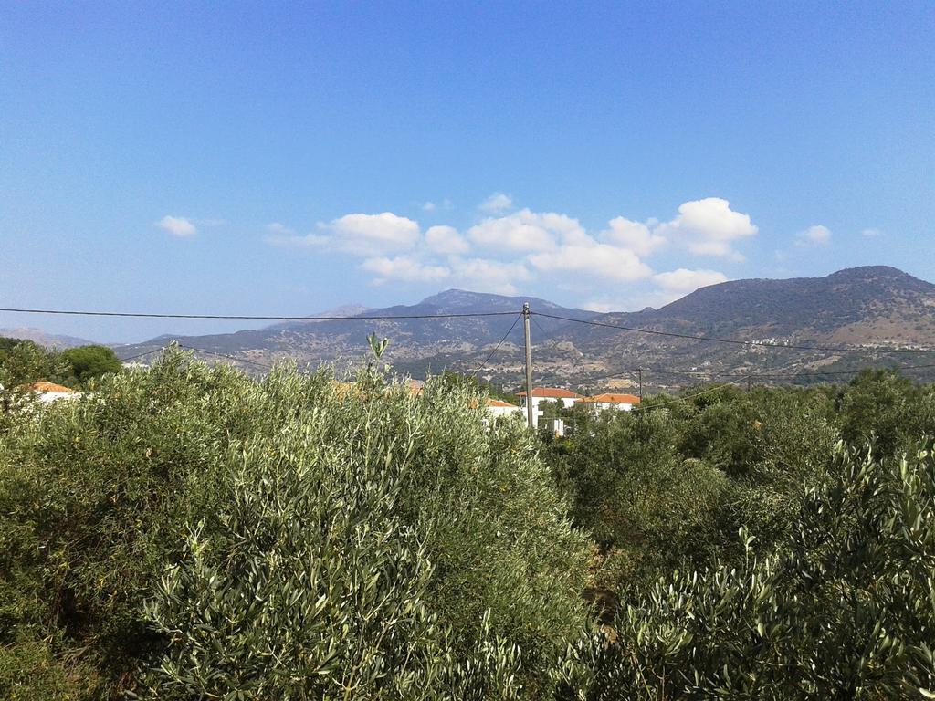 Villa Marianthi Petra  Exterior foto